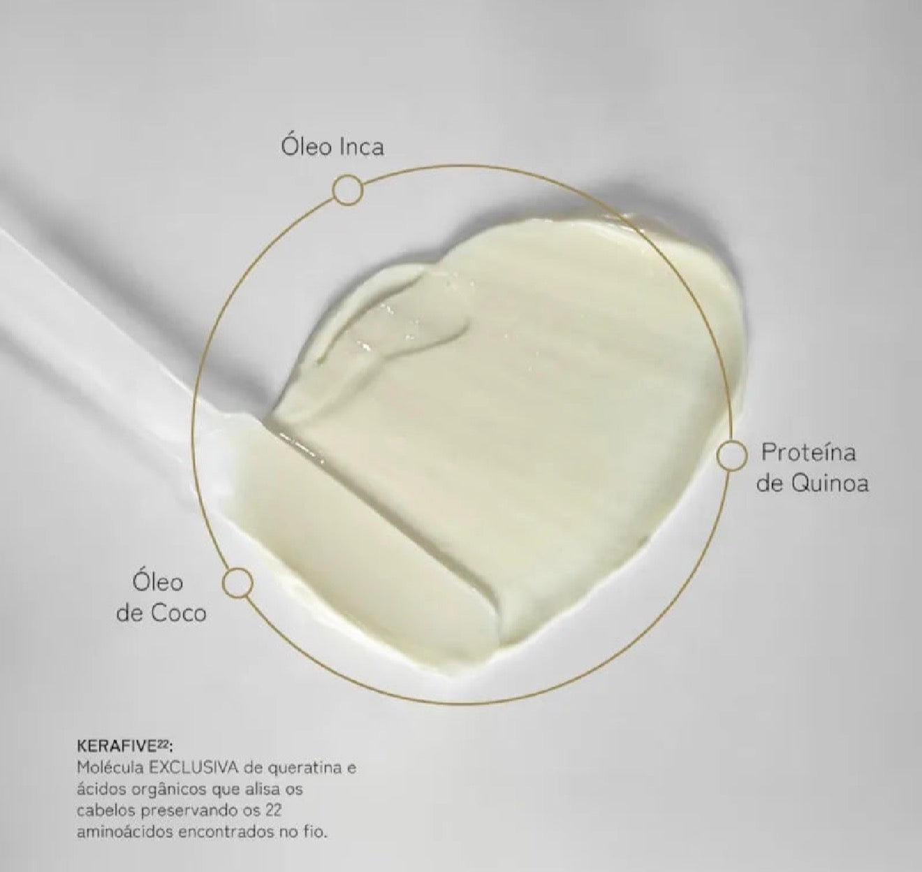 Combo Escova Progressiva Fashion Gold 300g