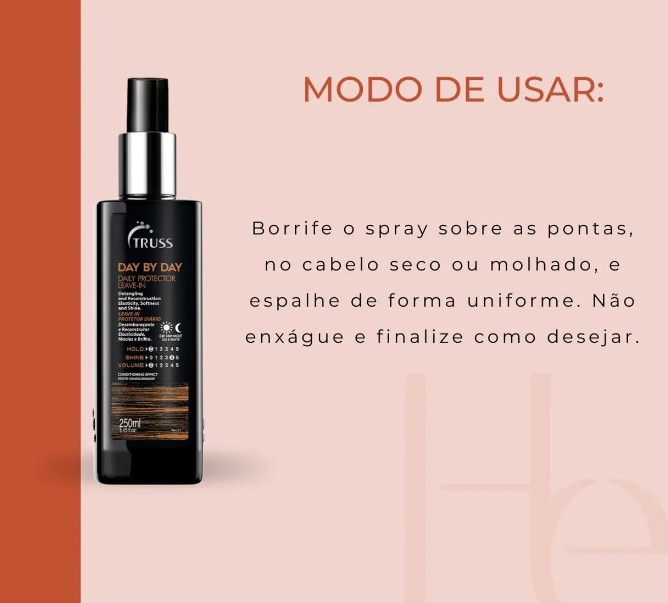 Leave-in Day By Day Spray 250ml – Truss