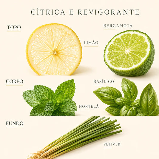 Bergamote Basilic Eau de Cologne 300ml – L’Occitane en Provence