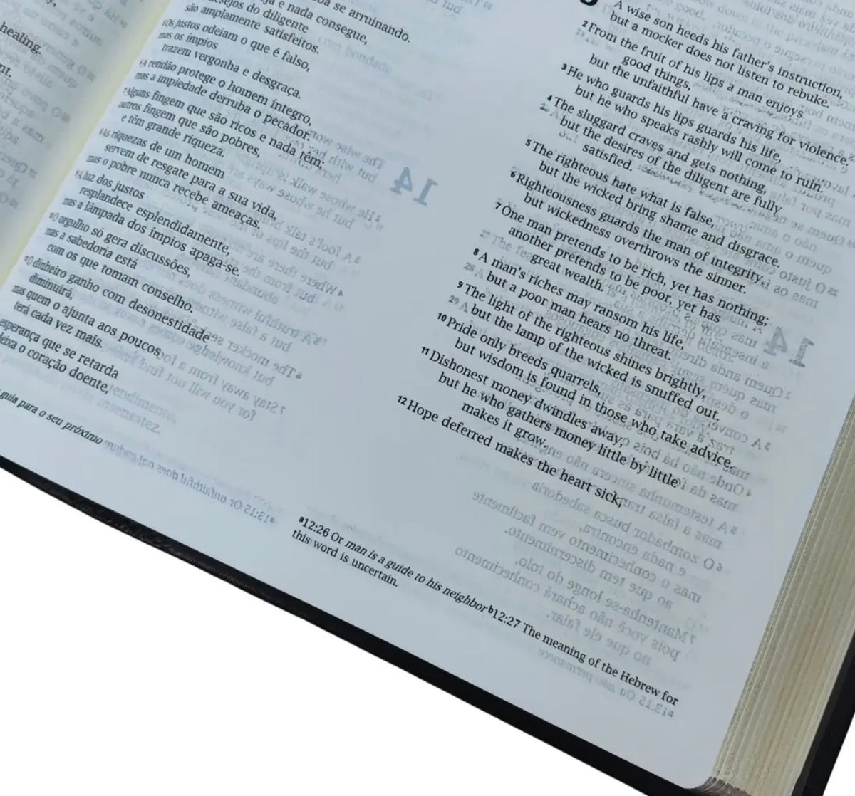 NVI Portuguese-English Bible - Bíblia Bilíngue