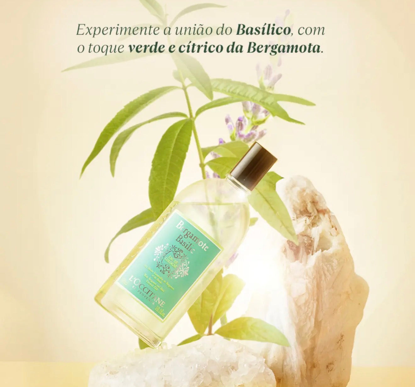 Perfume Feminino L'Occitane Bergamota E Basilico 300ml Spray Cítrico