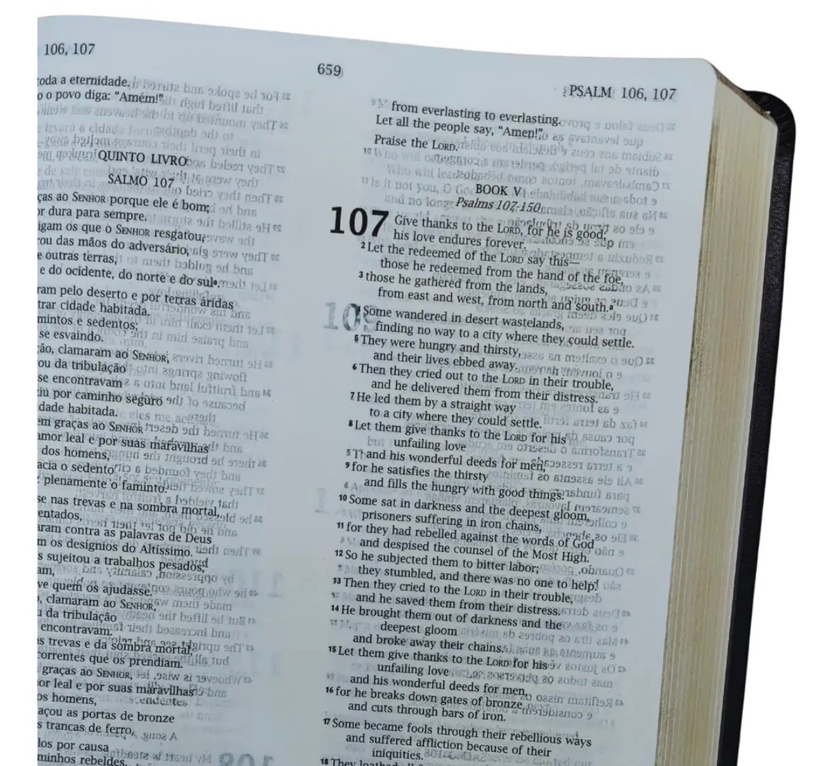 NVI Portuguese-English Bible - Bíblia Bilíngue