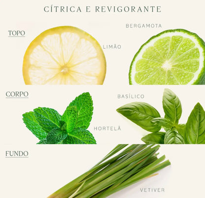 Perfume Feminino L'Occitane Bergamota E Basilico 300ml Spray Cítrico