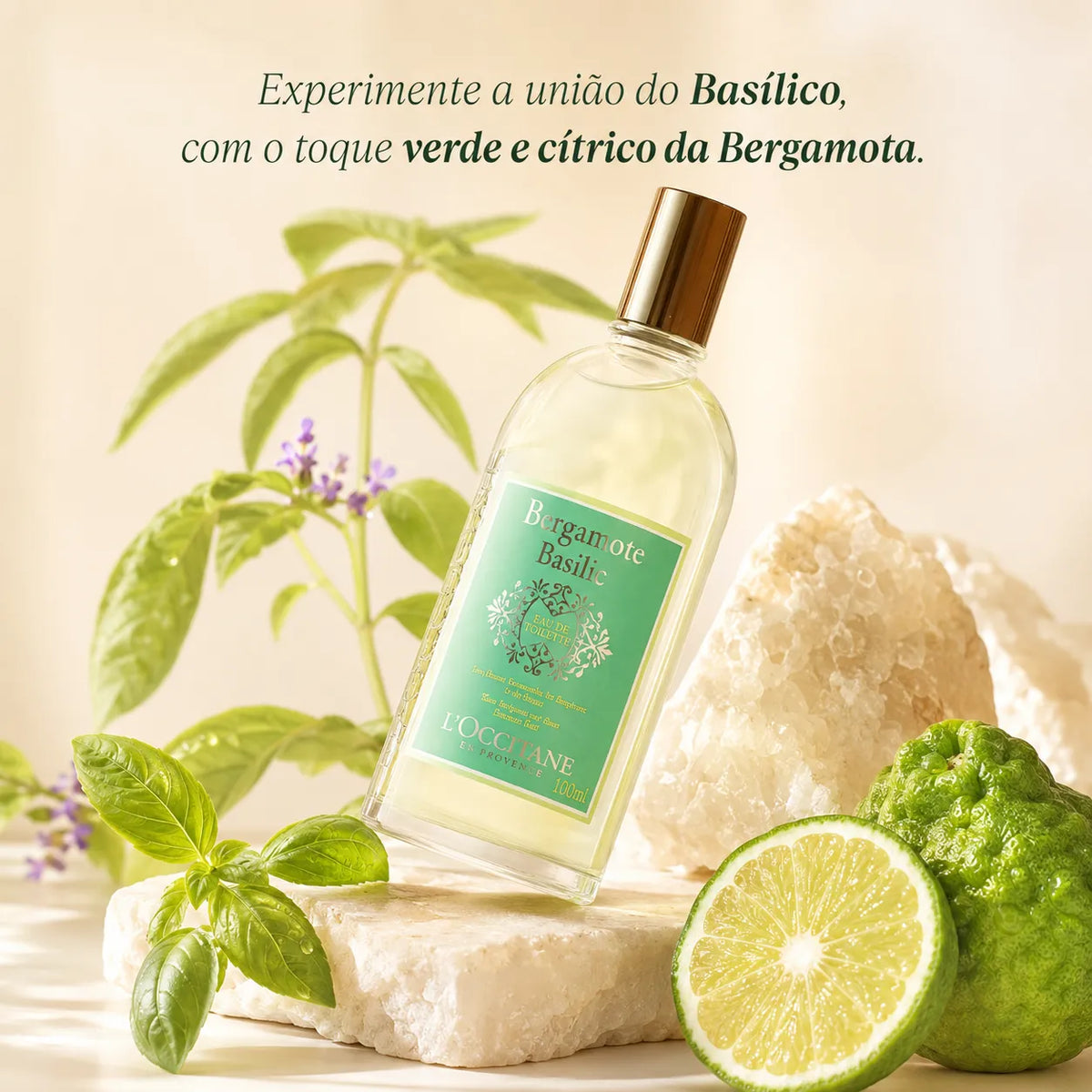 Bergamote Basilic Eau de Cologne 300ml – L’Occitane en Provence