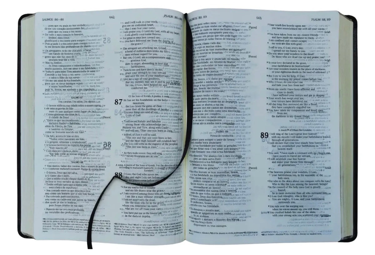 NVI Portuguese-English Bible - Bíblia Bilíngue
