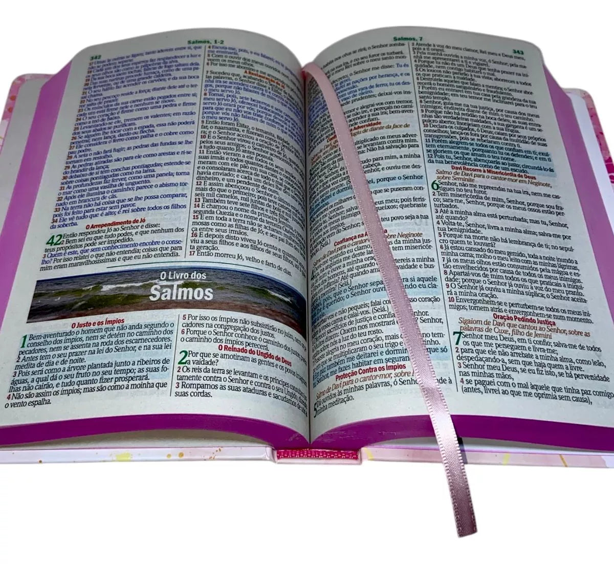 Bíblia Sagrada - Edição Especial Feminina