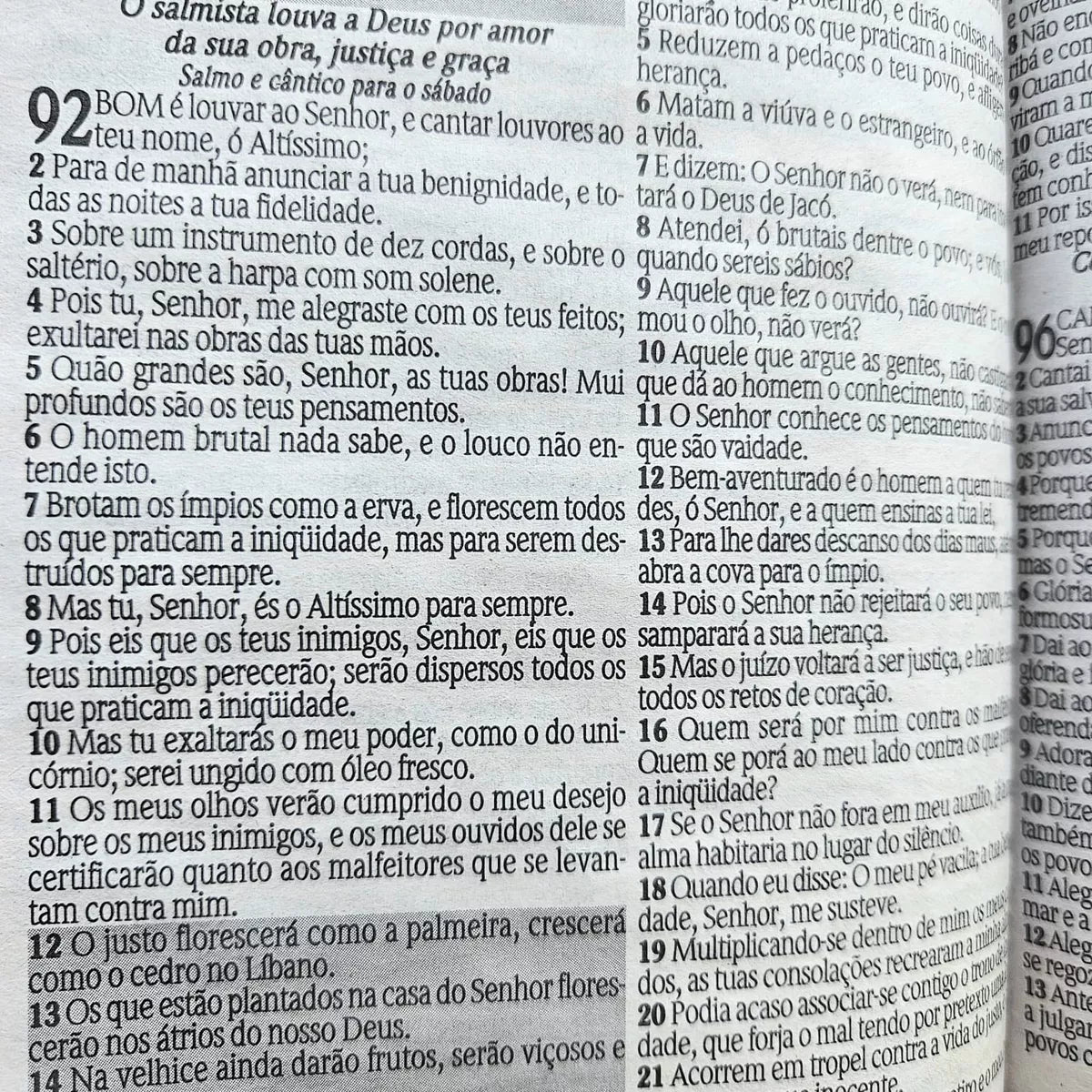 Bíblia Sagrada (Versão Revisada de João Ferreira de Almeida)