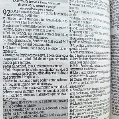 Bíblia Sagrada (Versão Revisada de João Ferreira de Almeida)