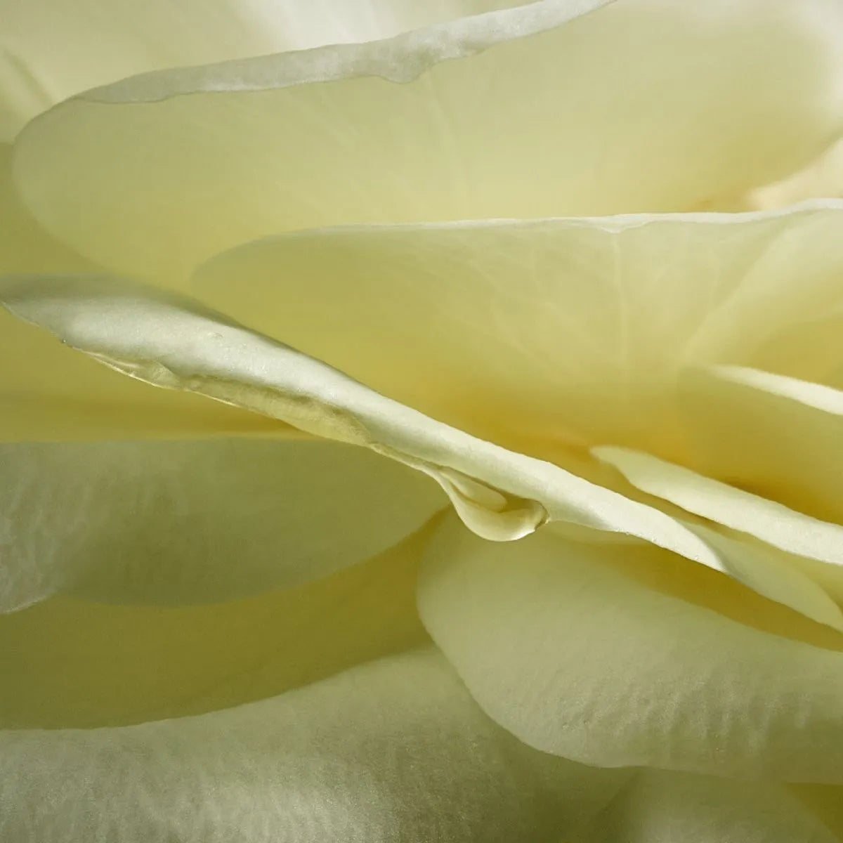 Aura Alba Natura Eau de Parfum Feminino 75ml