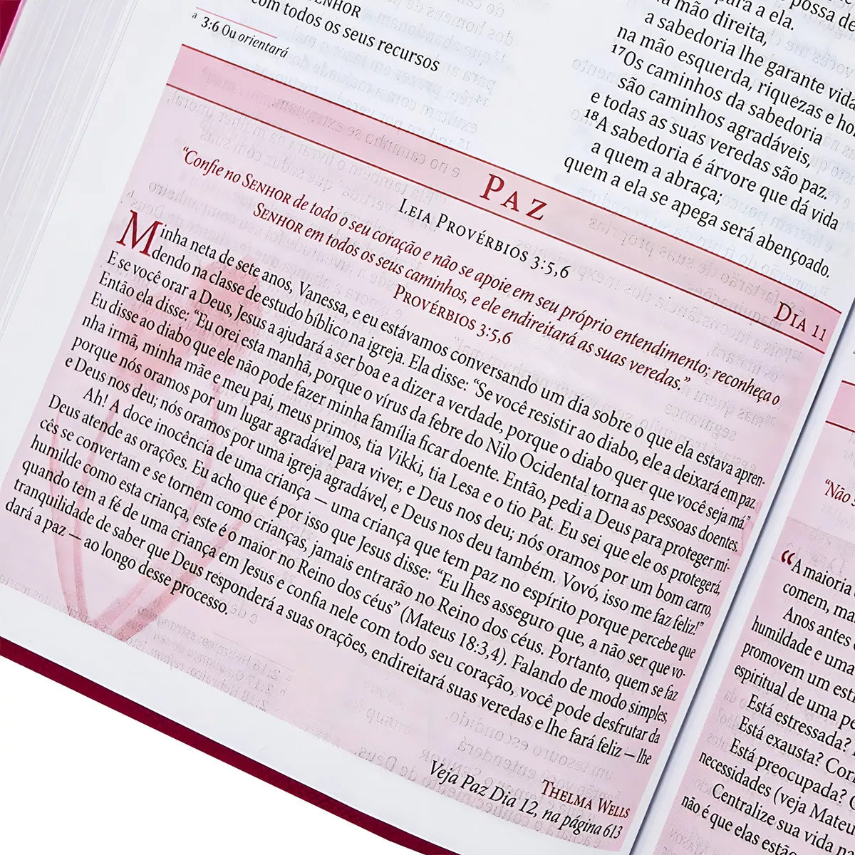 Bíblia da Mulher de Fé NVI – Capa de Luxo Couro Soft Rosa