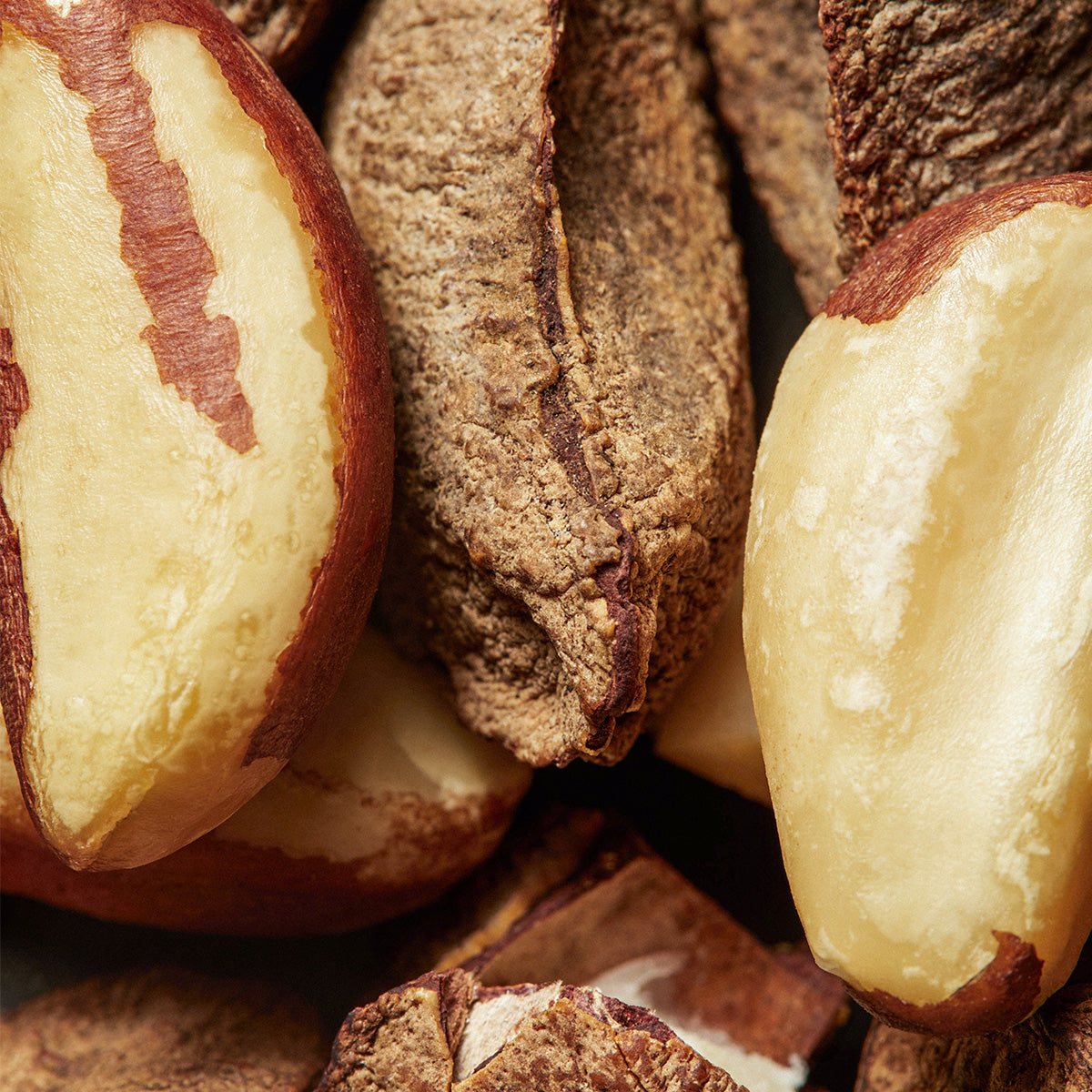 Desodorante Colônia Frescor Ekos Castanha 75ml – Natura