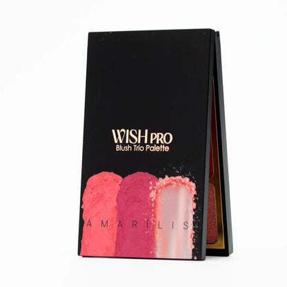 Wish Blush Trio Palette – Wish