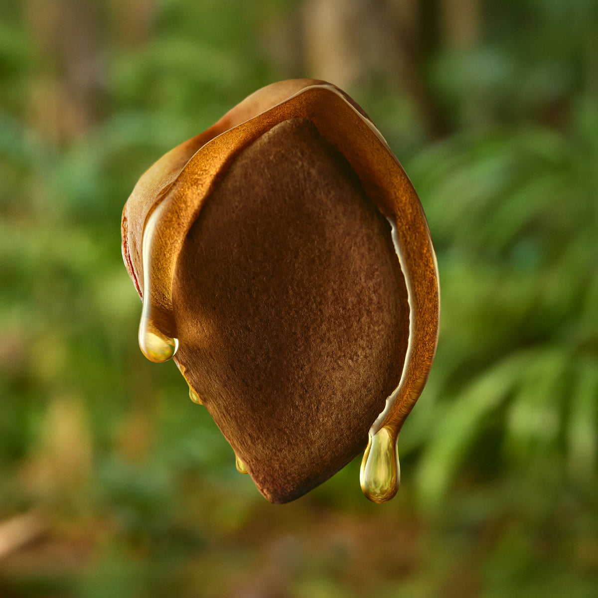 Polpa Desodorante Hidratante para o Corpo Natura Ekos Andiroba 400 ml