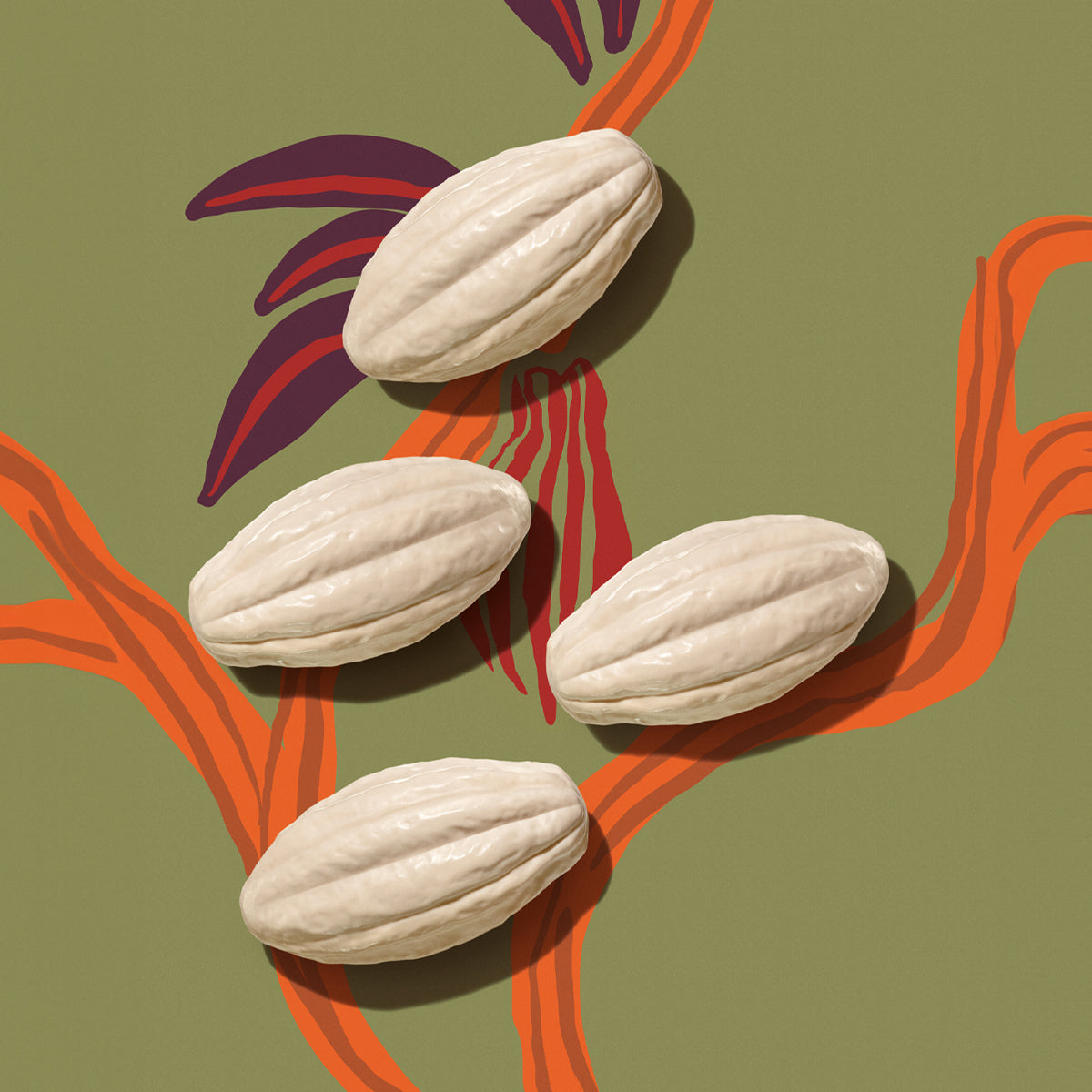 Sabonete em Barra Ekos Cacau – Caixa com 4 Unidades – Natura