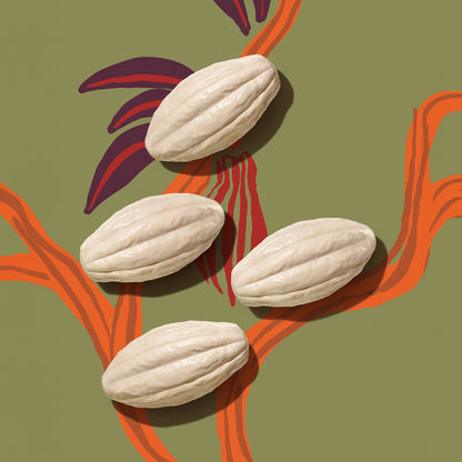 Sabonete em Barra Ekos Cacau – Caixa com 4 Unidades – Natura