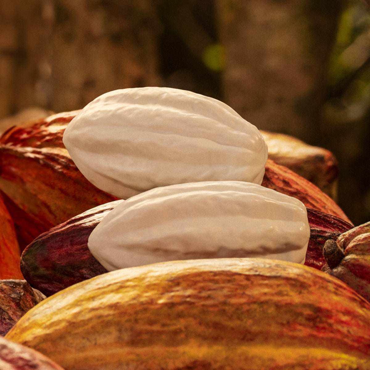 Sabonete em Barra Ekos Cacau – Caixa com 4 Unidades – Natura